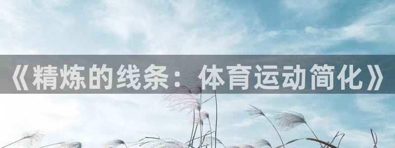 米兰体育官网下载招商电话是多少：《精炼的线条：体育运