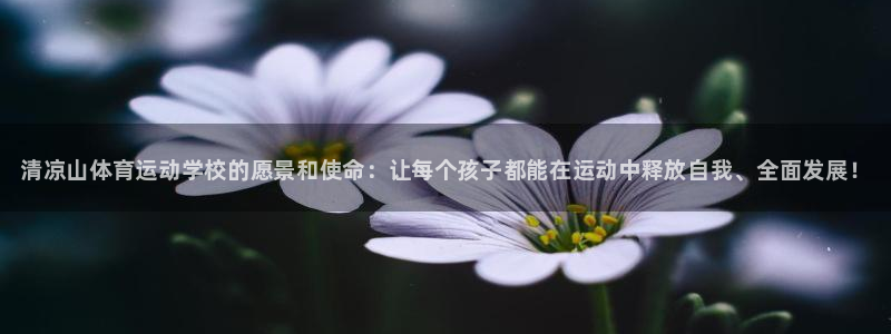 米兰体育官网下载招商电话号码是多少号：清凉山体育运动
