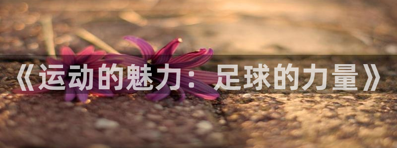米兰体育官方正版app娱乐首页官网下载：《运动的魅力