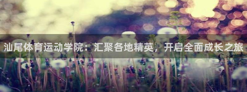 米兰体育官网下载平台是正规平台吗知乎：汕尾体育运动学院：汇聚