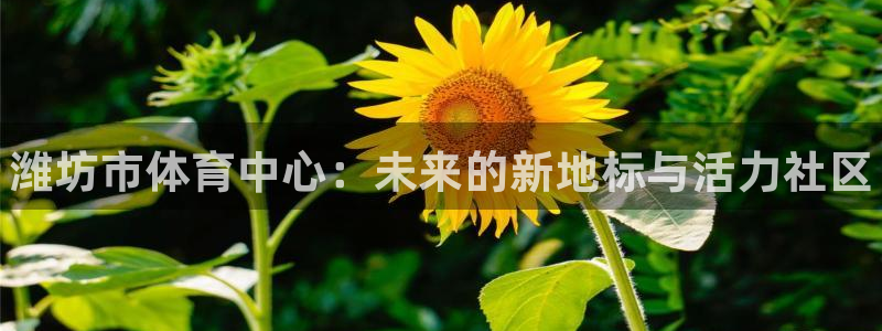 米兰体育官方正版app娱乐是那个系列的台子：潍坊市体