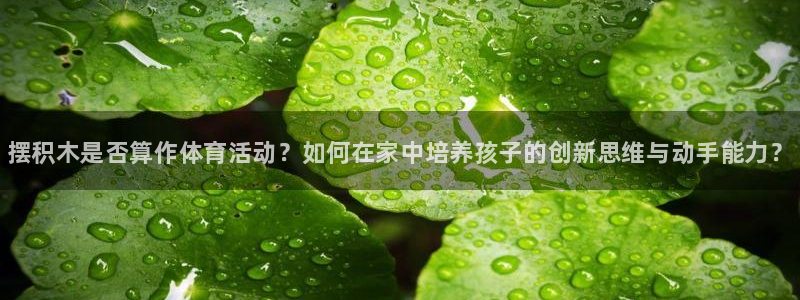 米兰体育官方正版app娱乐40996：摆积木是否算作
