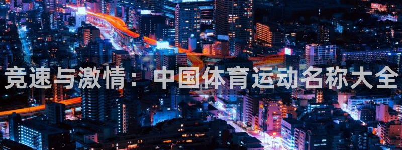 米兰体育官方正版app娱乐首页官网下载：竞速与激情：中国体育