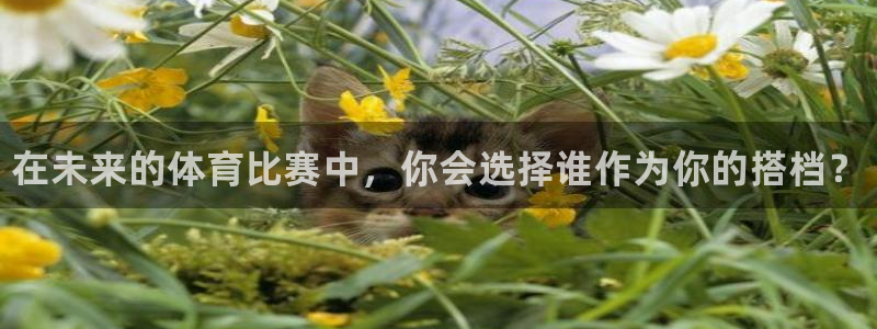米兰体育官网下载平台注册流程视频：在未来的体育比赛中，你会选