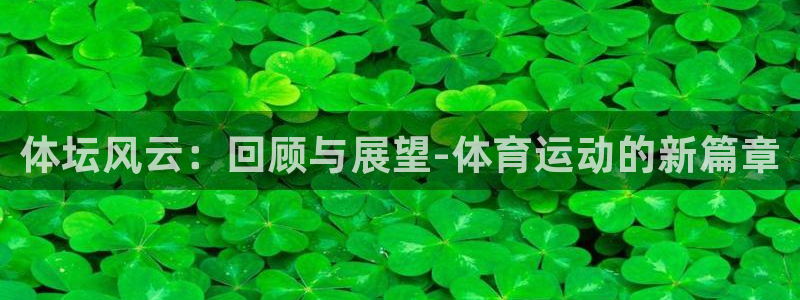 米兰体育官网下载平台注册流程图：体坛风云：回顾与展望-体育运
