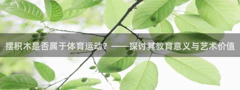米兰体育官网下载注册：摆积木是否属于体育运动？——探
