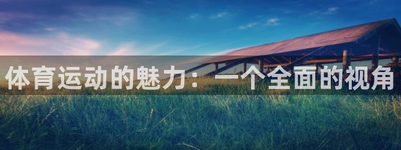米兰体育官网下载平台注册要钱吗：体育运动的魅力：一个