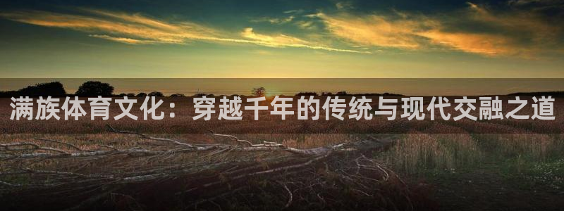 米兰体育官方平台体育