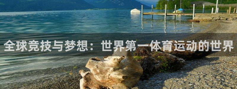 米兰体育官方正版app娱乐首页官网下载：全球竞技与梦想：世界