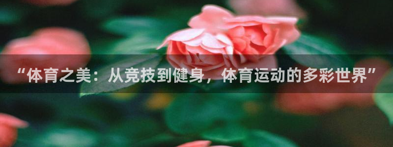 米兰体育官方正版app官方