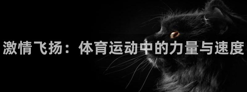 米兰体育官网下载是干嘛的公司：激情飞扬：体育运动中的