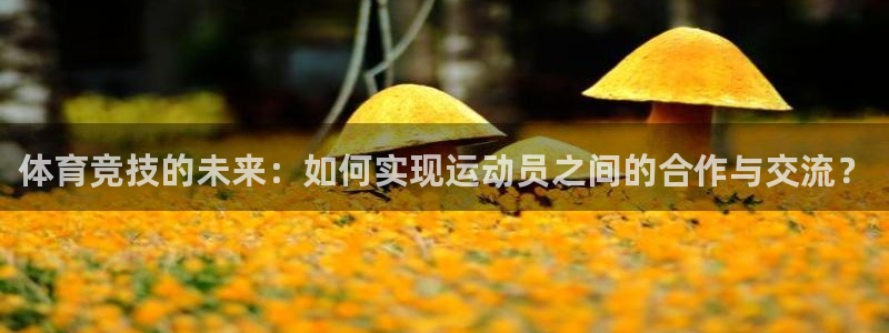 米兰体育官方正版app集团官网首页