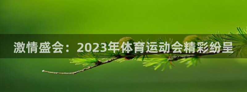 米兰体育官网下载平台假的吗是真的吗：激情盛会：2023年体育