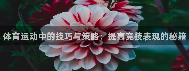 米兰体育官方正版app娱乐平台