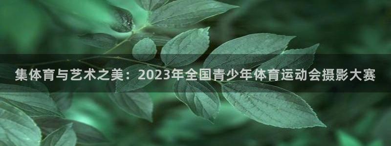 米兰体育官方正版app娱乐网站：集体育与艺术之美：2023年