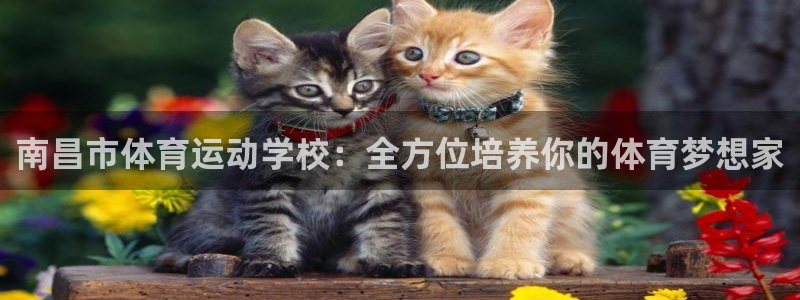 米兰体育官网下载平台注册流程视频：南昌市体育运动学校：全方位